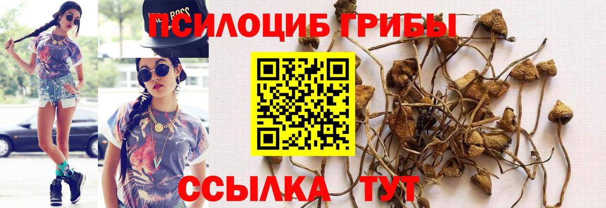 Галлюциногенные грибы прущие грибы  Псилоцибиновые грибы прущие грибы  Вход с VPN  Сорочинск 