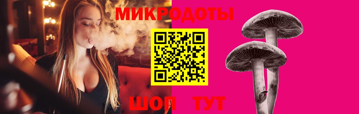Псилоцибиновые грибы мицелий Сорочинск